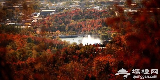 金秋赏叶 除了香山这十个地方也不赖[墙根网]
