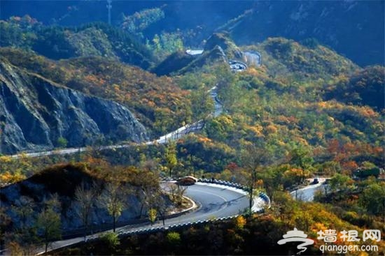 金秋赏叶 除了香山这十个地方也不赖[墙根网]