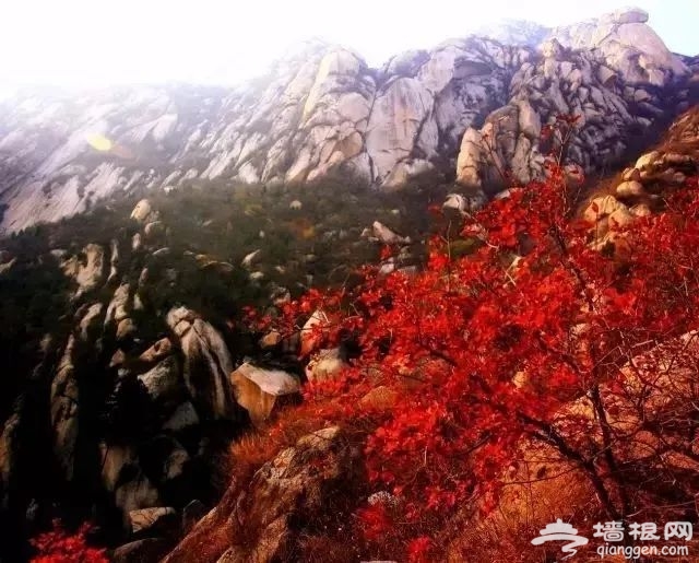 北京秋天去哪儿玩 这6个地方的秋景美到不可言喻