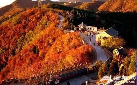 北京秋天去哪儿玩 这6个地方的秋景美到不可言喻