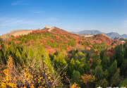 京郊赏红叶，漫山遍野一片红！