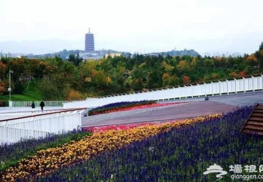北京4A级红叶观赏景区，红云似海处处皆景