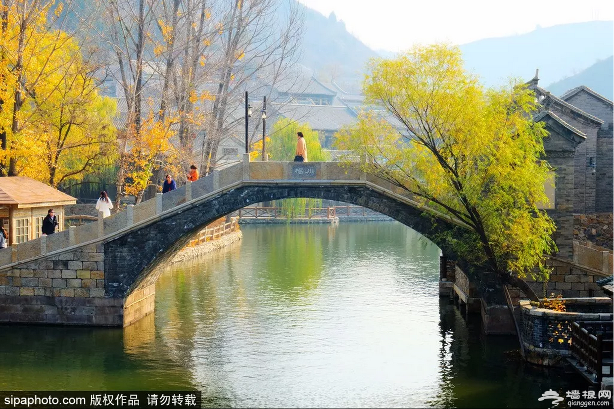 竟然让何炅都流连忘返，北京这个地方又到了一年中最美的时刻！[墙根网]