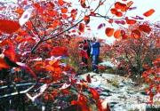 房山区周口店镇泗马沟村的幽岚山药王谷红叶林