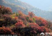 太行赏红叶秘境开启！6个赏秋胜地，去了就不想回来