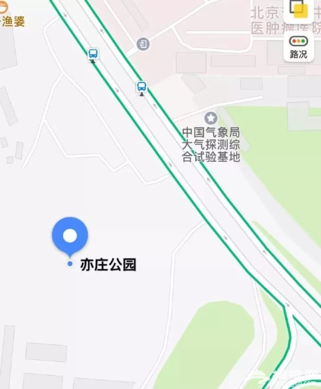 抖音上抖红的粉黛花海，北京也有啦！还不快打卡！[墙根网]