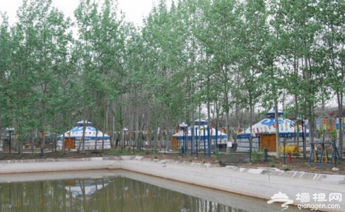 京郊休闲农庄漫山瓜果飘香 来此体验农趣丰收怡然生活[墙根网]
