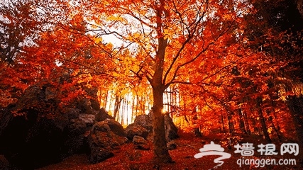 北京这些秋季徒步路线，越走越美！
