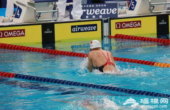 2018北京游泳世界杯泳坛名将粉丝见面会（时间+选手+报名）