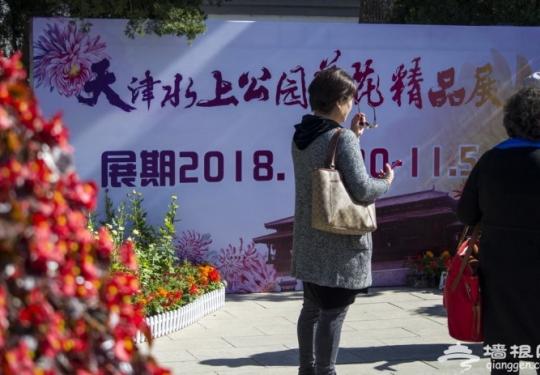 2018年天津水上公园菊花展开幕