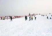 2018年济南香草园滑雪场季卡79.9元优惠抢购
