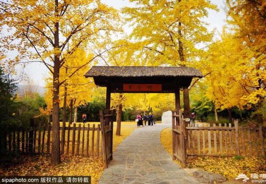 北京公园秋色：看看颐和园、植物园、园博馆有多美！