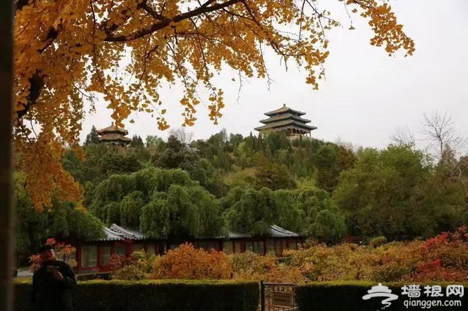北京公园保留落叶景观 为市民赏秋添“感觉”[墙根网]