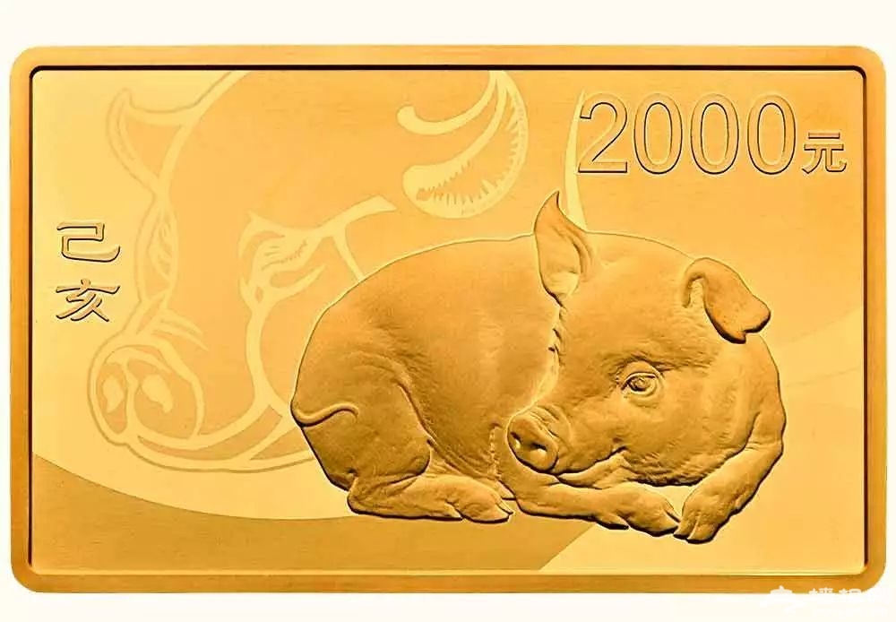 央行公告2019猪年金银纪念币11月16日发行销售[墙根网]