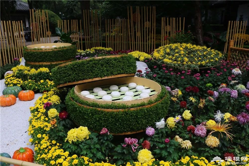 2018上海秋季菊花展指南[墙根网]