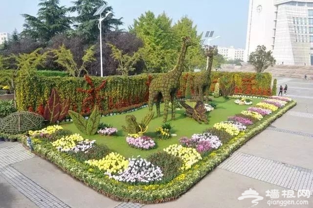 2018上海秋季菊花展指南[墙根网]