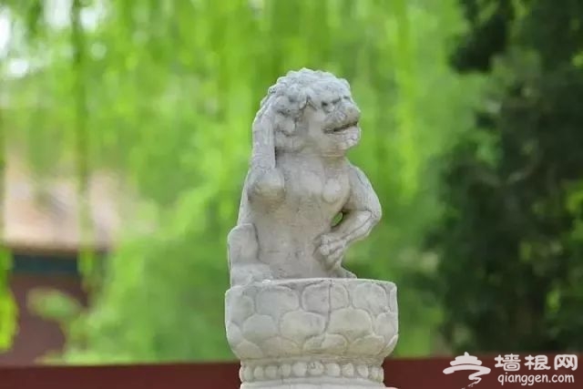 12.29-31，北京剧院，音乐剧《故宫里的大怪兽之吻兽使命》[墙根网]