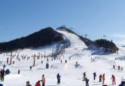蓟县玉龙滑雪场11月24日正式开放 特价14.9元抢原价60元滑雪票