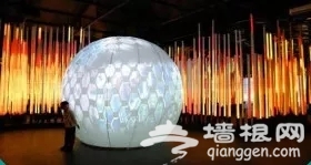 世界级光影殿堂“Halo Park光乐园”来广州啦！错过你绝对后悔[墙根网]