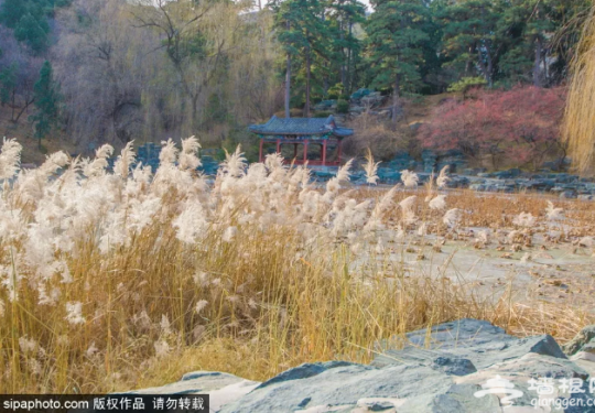 京津冀又一批封闭景区名单！旅游之前，务必先看！