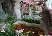 保定大午温泉度假村旅游攻略（门票+路线）