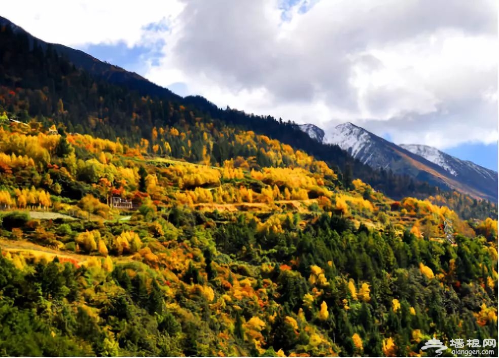 “云中高速”汶马高速即将通车 一路看遍川西美景[墙根网]