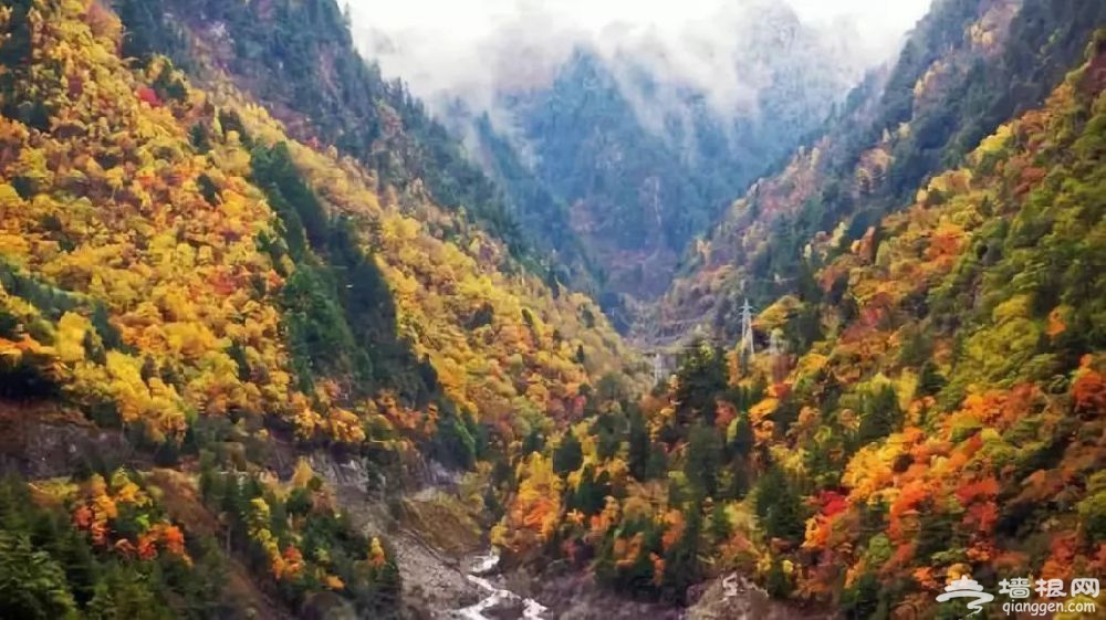 “云中高速”汶马高速即将通车 一路看遍川西美景[墙根网]