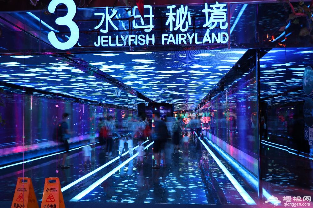 2018广州圣诞节活动汇总(持续更新)[墙根网]
