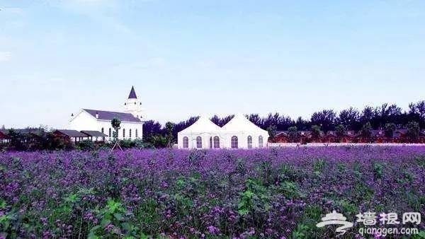 北京拍照景区推荐,北京最适合拍照的12个地方[墙根网]