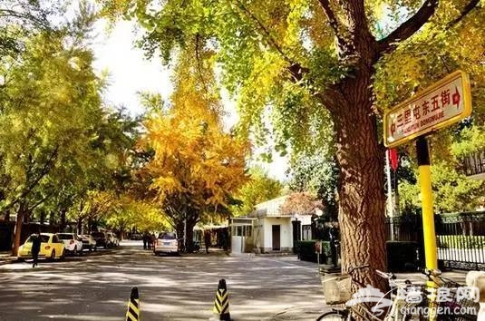 北京拍照景区推荐,北京最适合拍照的12个地方[墙根网]