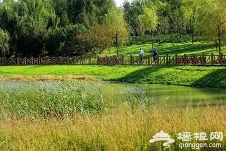 北京拍照景区推荐,北京最适合拍照的12个地方[墙根网]