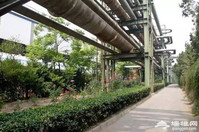 北京拍照景区推荐,北京最适合拍照的12个地方[墙根网]