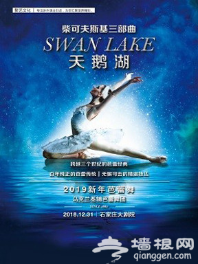 2019石家庄元旦活动汇总（持续更新）[墙根网]