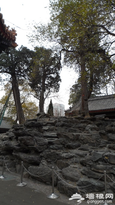 万寿寺被称“京西小故宫” 当年的“总政幼儿园”最初也在此地[墙根网]