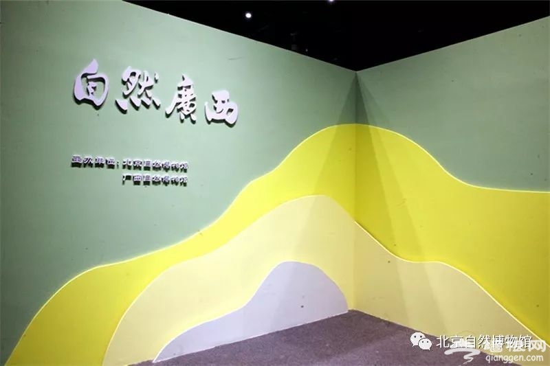 北京自然博物馆“自然广西”展览时间、门票预约[墙根网]