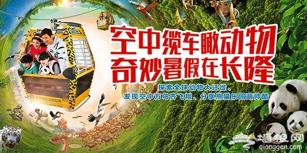 2018广州长隆野生动物园圣诞月特惠 平日门票仅需240元（含抢票入口）