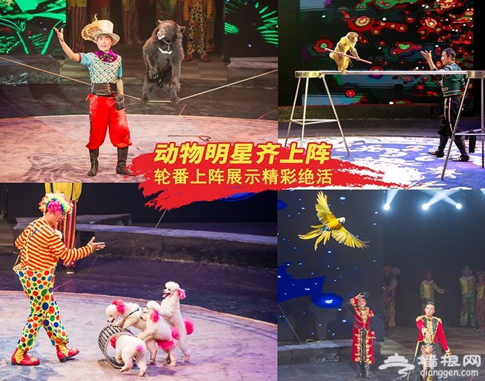 2019朝阳公园世界风情大马戏演出时间、票价[墙根网]