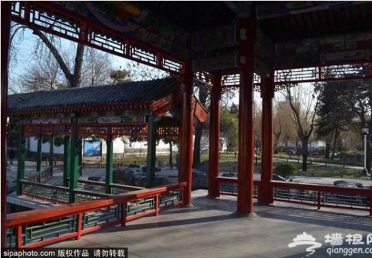 2019年北京公园年卡发售，可全年免费畅游北京公园！一年只有这一次机会！