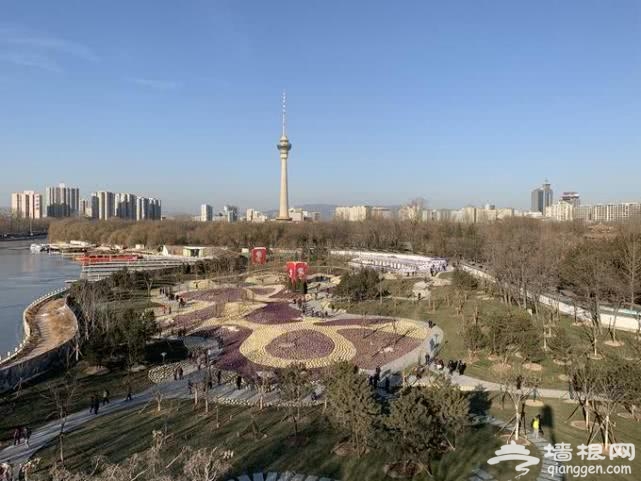 北京玉渊潭公园“樱落花谷”新景区亮相，拆废建绿打造精品花园[墙根网]
