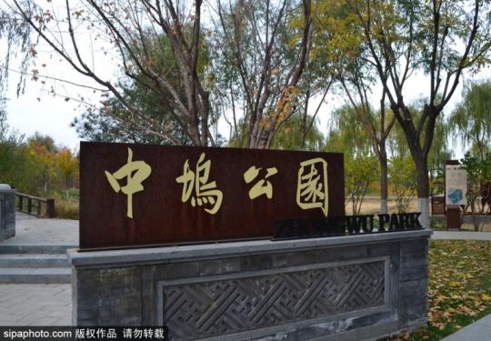 海淀中坞公园：都市里的田园