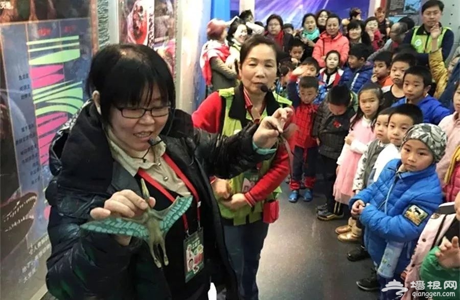 2019北京自然博物馆跨年活动（时间 攻略 预约）