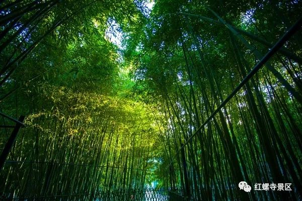 2019北京红螺寺元旦迎新祈福活动时间及交通详情
