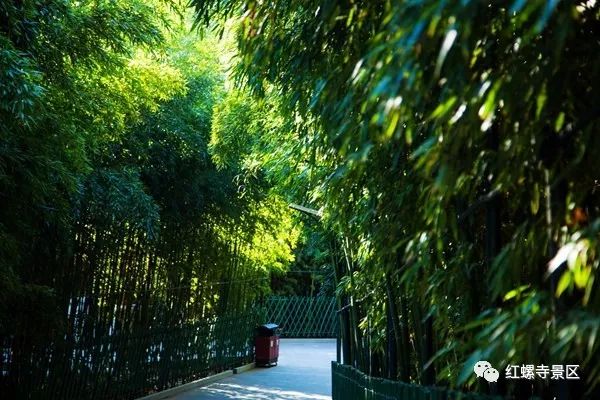 2019北京红螺寺元旦迎新祈福活动时间及交通详情