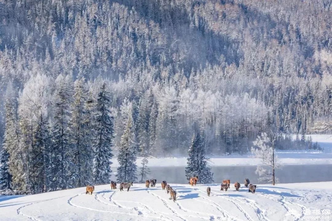 中国最美的6大雪乡 踏雪而行不负冬季 (图)[墙根网]