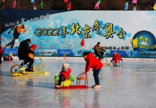 2019北京植物園人工冰場今開放(附收費項目及價格)
