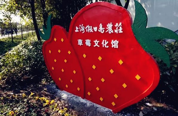 冬天才是吃草莓的季节啊！上海各区采摘地指南[墙根网]
