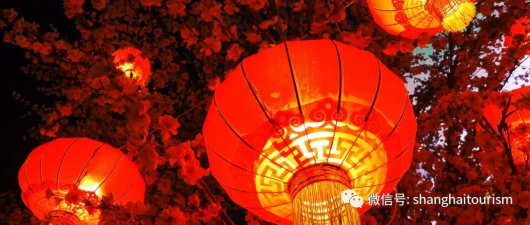 整整一年的假期充值完毕！怎么玩？看这里！[墙根网]