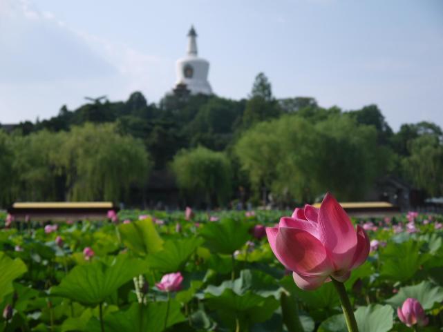 《2019年北京旅行时间表》出炉！一整年去哪玩不用愁了！[墙根网]