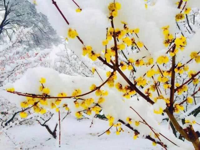 《2019年北京旅行时间表》出炉！一整年去哪玩不用愁了！[墙根网]