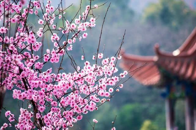 《2019年北京旅行时间表》出炉！一整年去哪玩不用愁了！[墙根网]